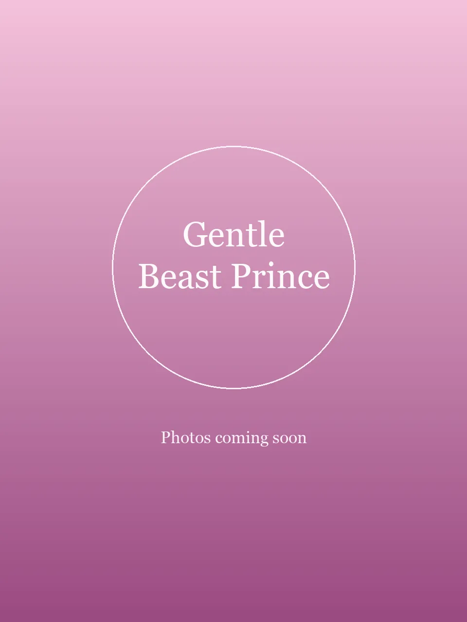 Gentle Beast Prince party character in Raleigh-Durham