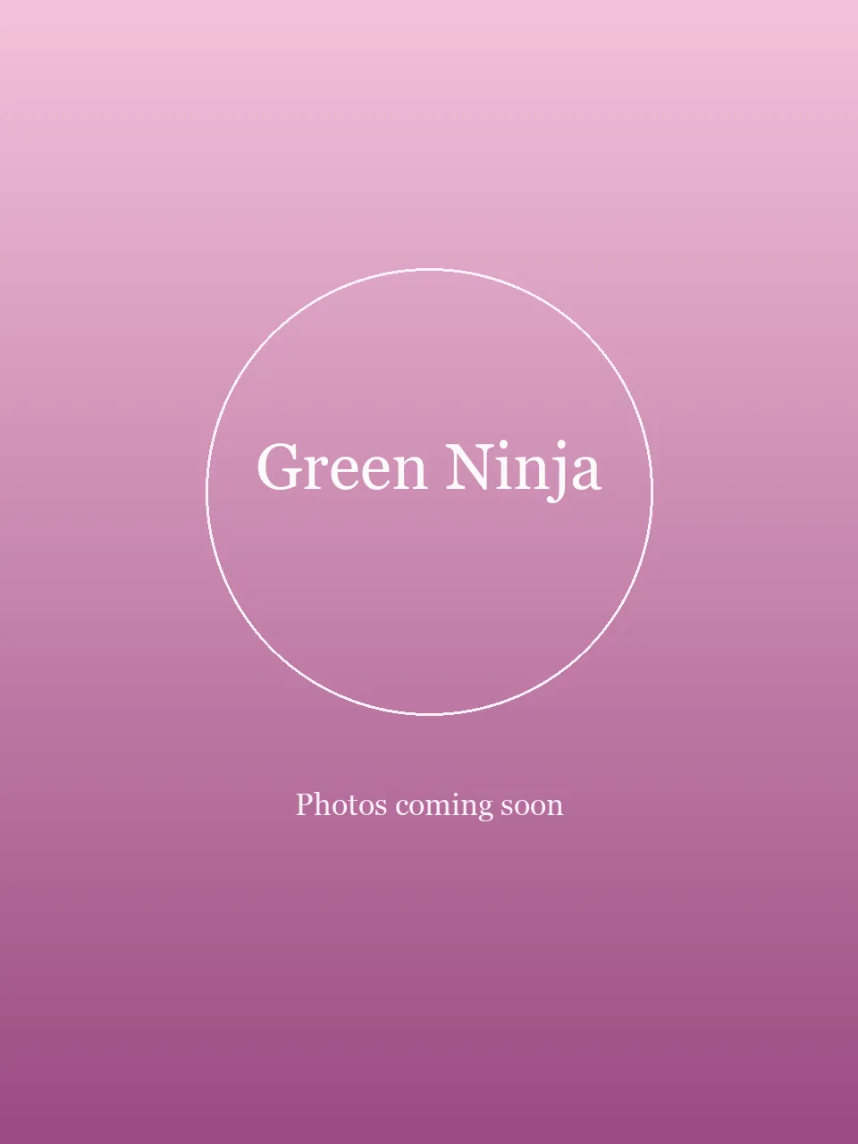 Green Ninja party character photo 2