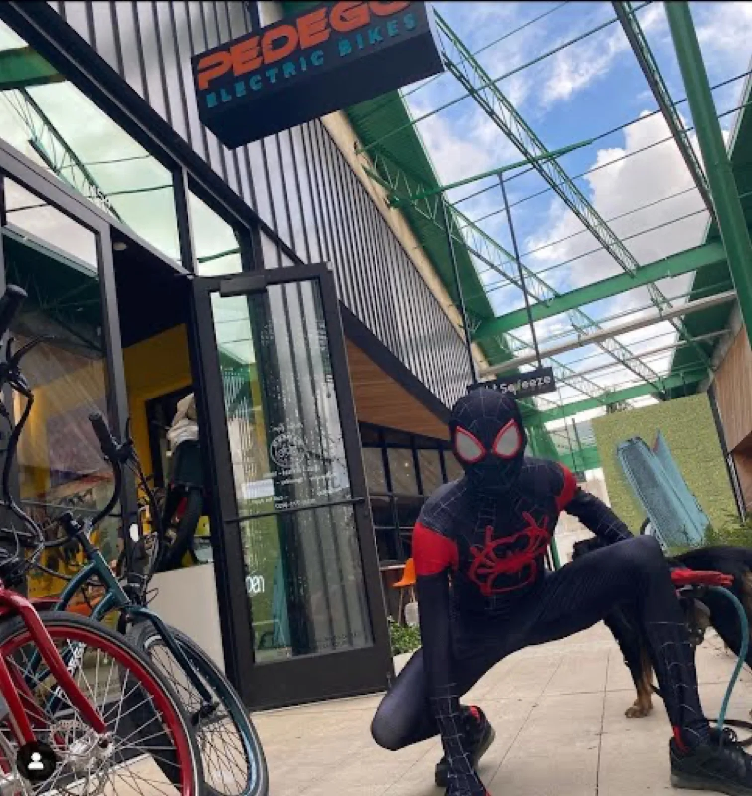 Masked Web Hero party character in Raleigh-Durham