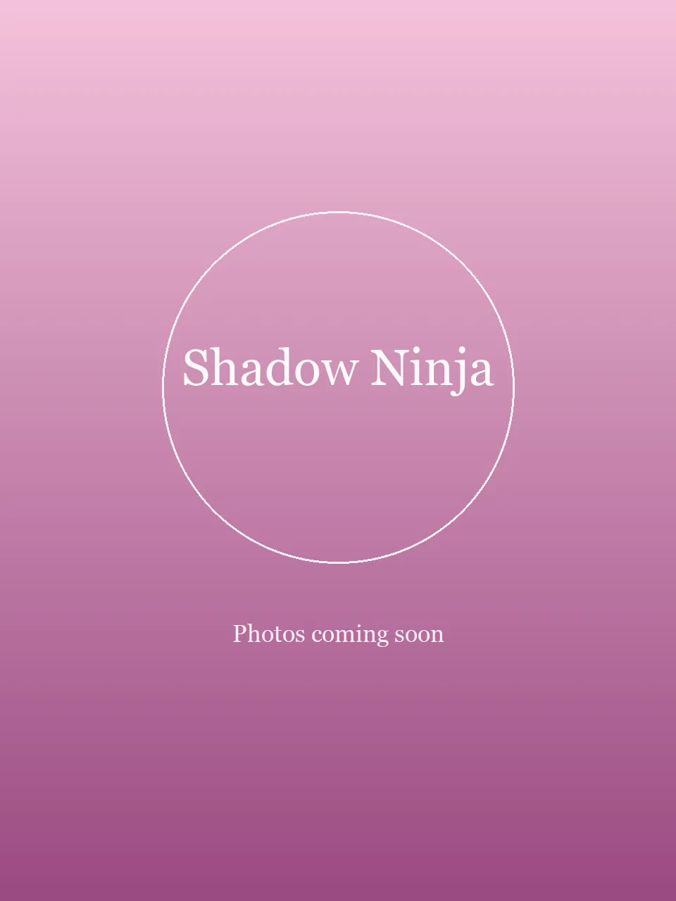 Shadow Ninja party character in Raleigh-Durham