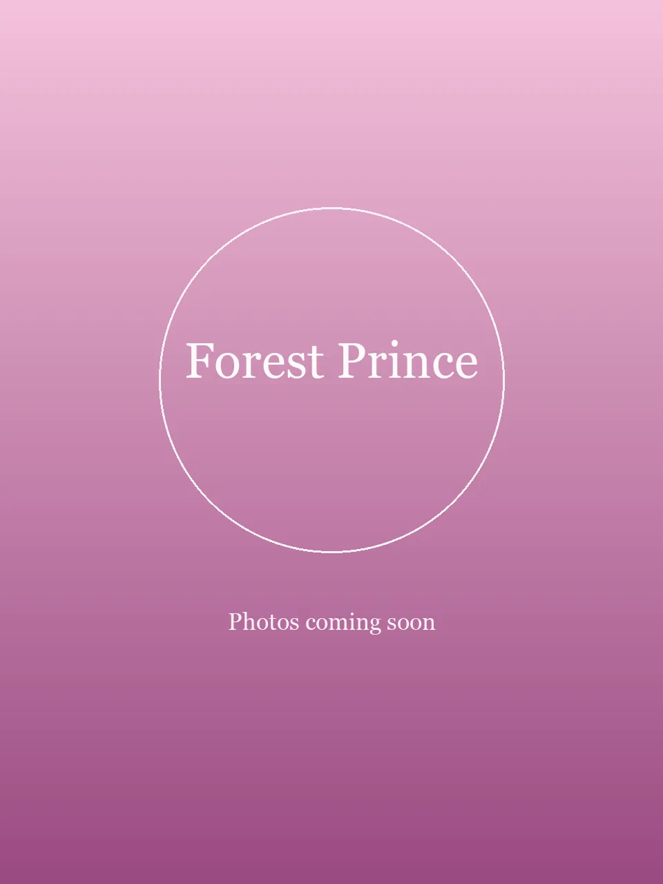Forest Prince party character in Raleigh-Durham